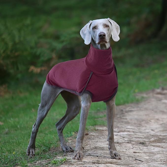 ROZKITCH Soft Warm Dog Sweater Pajamas, Winter Dog Vest, Elastic Turtleneck Sweater, Lightweight Pet Shirt for Small to Large Dogs, Red