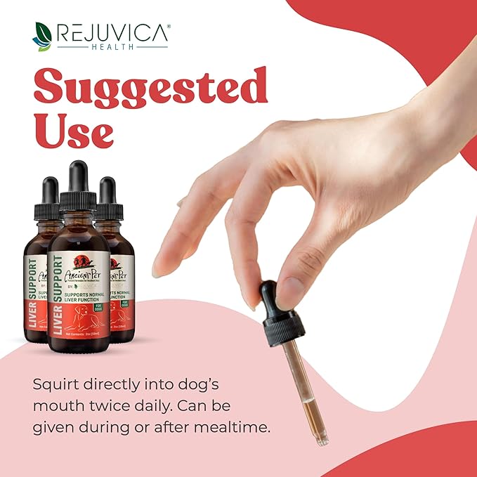 Ancient Pet Liver Support for Dogs & Cats -Simple Liquid delivery, Mixes Easily with Food or Water - Milk Thistle, Dandelion & Artichoke - Enhanced Absorption - 2 fl oz