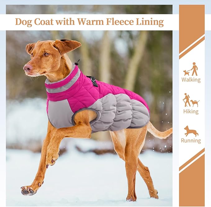 Large Dog Coat, XXLarge Dog Winter Coat, Waterproof Pet Jacket with Back Zipper,Extra Large Pet Coats, Warm Fleece Jacket with D-Ring, Windproof Winter Clothes Golden Retriever,Rose Red,XXL
