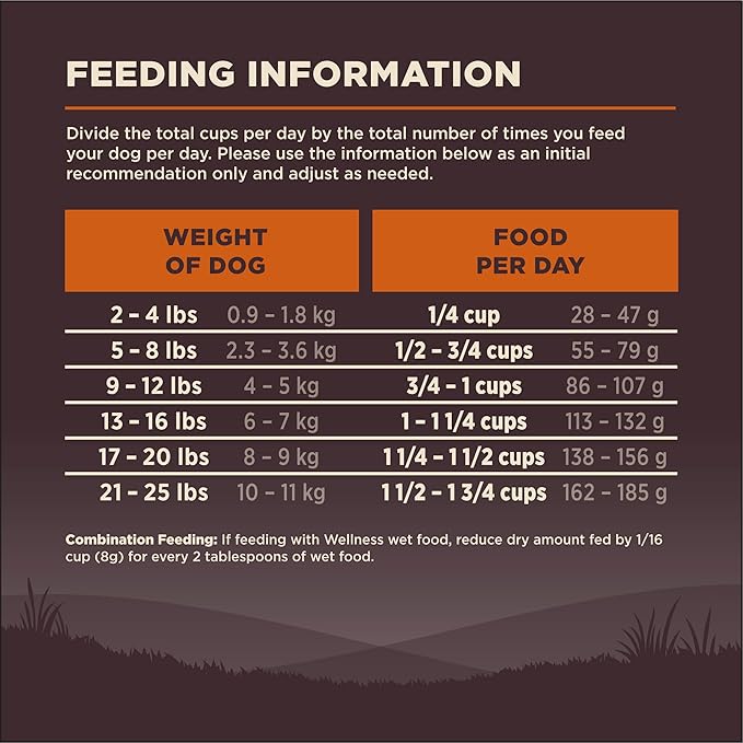 Wellness CORE Grain-Free High-Protein Small Breed Dry Dog Food, Natural Ingredients, Made in USA with Real Meat (Adult, Turkey, 4-Pound Bag)