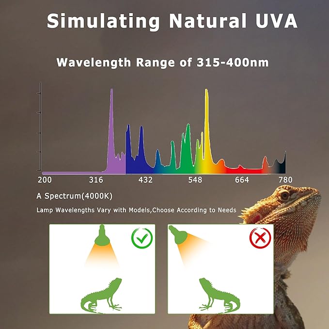 75W E26 Reptile Heat Lamp Bulbs - R63 Upgraded UVA Amphibian Basking Spot Light, Simulated Sunlight for Bearded Dragon, Lizard, Tortoise & chics, Daylight Bulb for Aquariums and Tanks|2 Pack