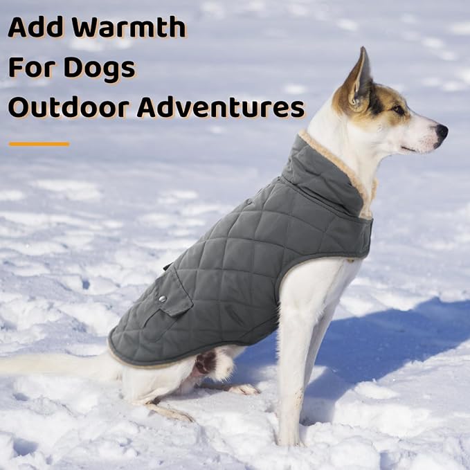 Queenmore Dog Winter Coat - Fleece Jacket, Waterproof Cold Weather Clothes, Thick Warm Cotton Padding, Easy On Storage Pockets (Grey, Medium)