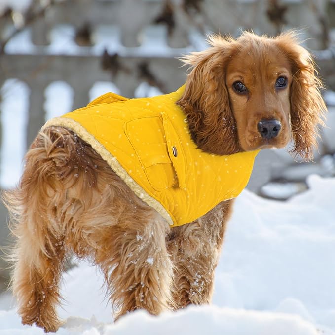 Queenmore Dog Winter Coat Warm Puffer Jacket Waterproof Plush Lining Thermal Cold Weather Vest for Small Medium Large Dogs, Windproof Easy On Pet Jacket Yellow S