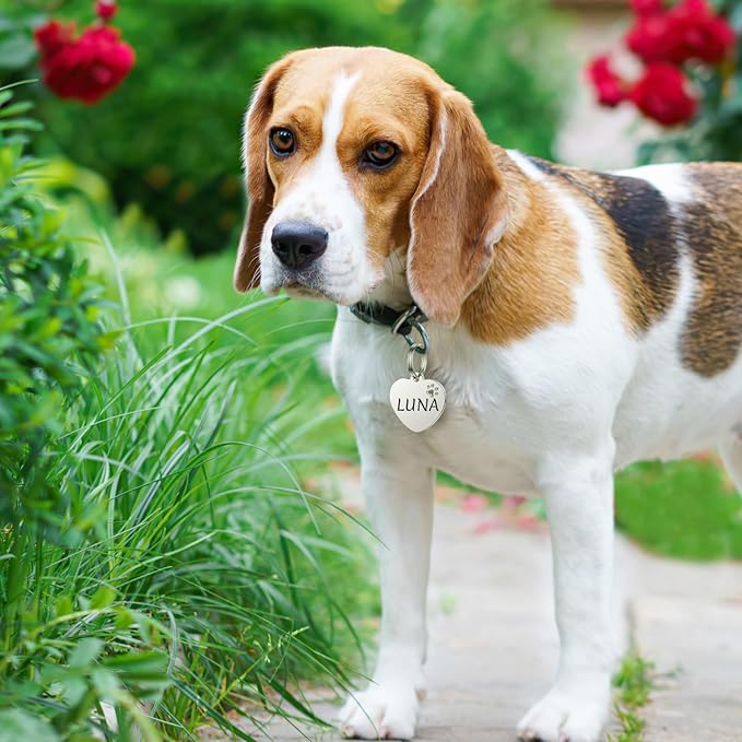 Dog Tags Personalized for Pets - YEHANTI Personalized Dog Tags with Dog Paw, Durable Stainless Steel Pet ID Tags for Small Large Dogs Cats, Custom Dog Name Tags Engraved on Both Sides (Heart)