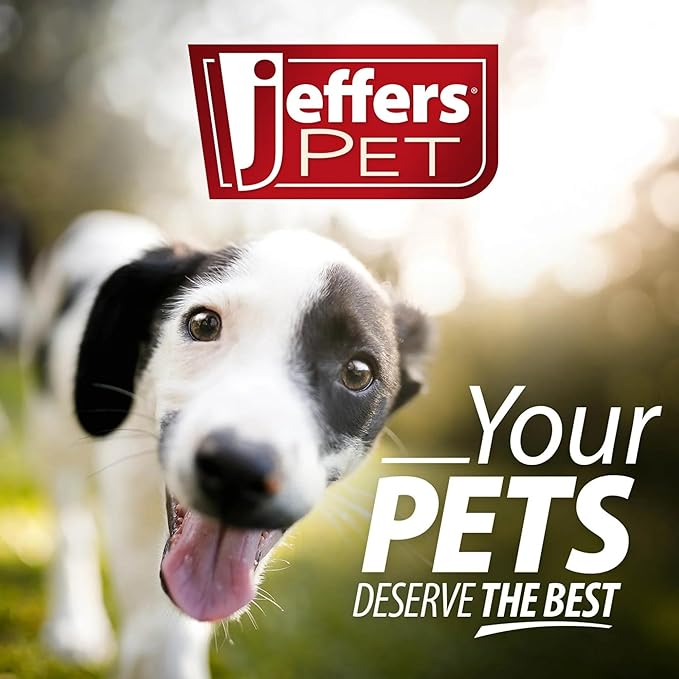 Jeffers Pet Plush Dog Toy with Squeaker, Gray Husky 8" - Soft Crinkle Fabric, Safe & Durable, Healthy Fun for Small & Medium Dogs, Interactive Play, Fetch, Tug - Best Gift for Active Games