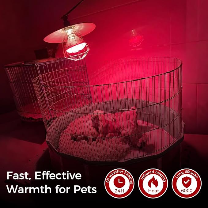 Infrared Heat Lamp for Chickens, 250 Watts Red Heat Lamp Bulb, Heat Light Bulb for Brooder Coop, Food Service, Chicks, Pet, Reptile, 1 Pack