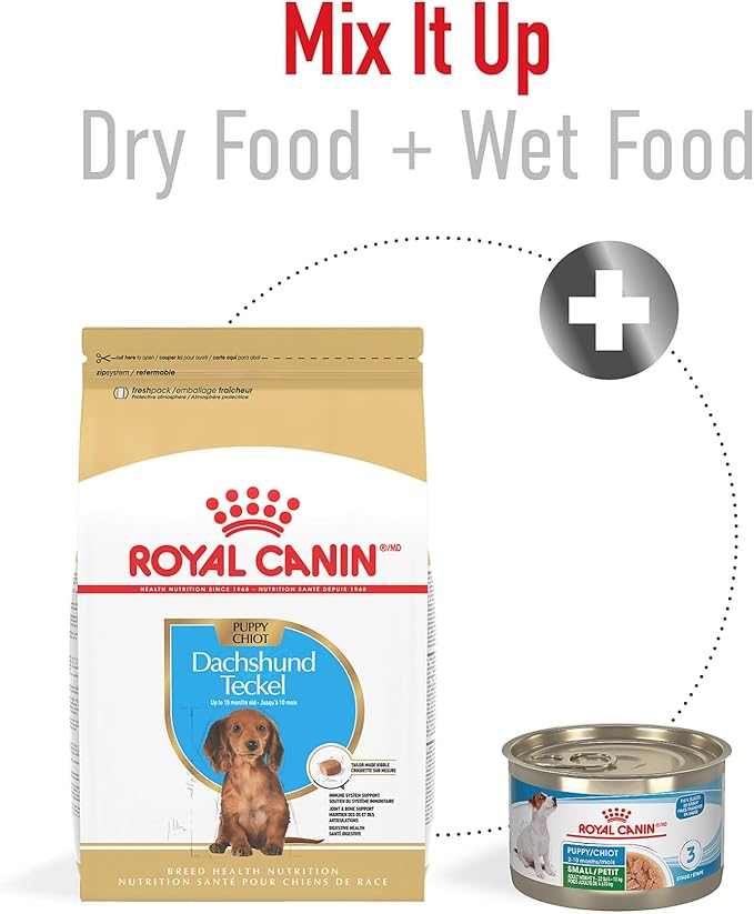 Royal Canin Breed Health Nutrition Dachshund Puppy Dry Dog Food, 2.5 lb Bag