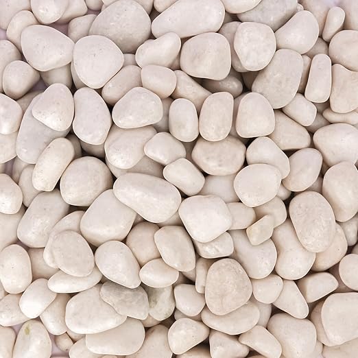 Premium 1-2 Inch White Natural River Rocks – Versatile 22 lbs River Rocks & Pebbles for Outdoor and Indoor Plants, Use for Decorative White Stones for Garden, Aquarium, Vase, Plant, Crafting