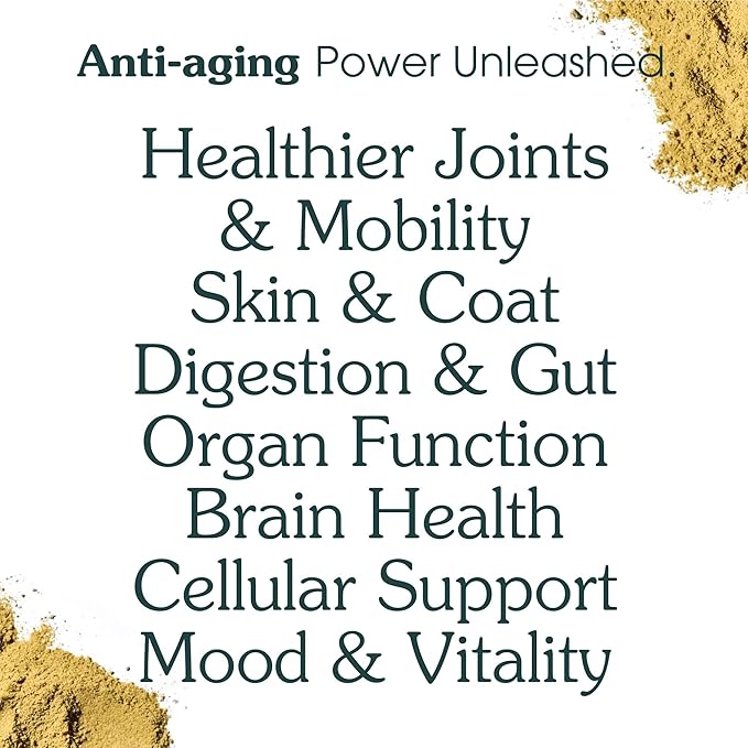 Adult Dog Powder Supplement & Food Topper – 46 Ingredients for Gut, Immune & Brain Health – Daily Longevity Multivitamin for Whole Body Wellness | 60 Scoops