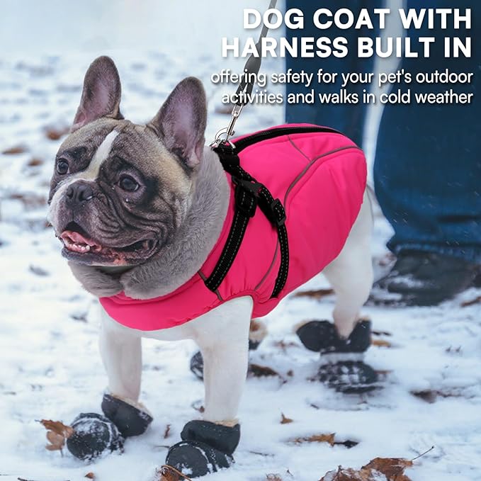 Queenmore Dog Winter Coat for Large Breeds, Warm Fleece Dogs Jacket with Zipper, Reflective & Waterproof Dog Jacket with Harness Built in,Windproof Pet Sweater for French Bulldog,Beagle,Rose Red,L