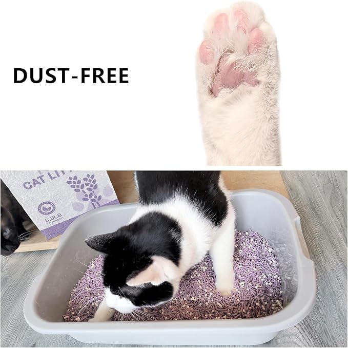 Tofu Cat Litter, Dust-Free Kitty Litter, Fast Drying, Ultra Absorbent Clumping Cat Pellets, Lavender Odor Control, Less Scattering, Dust-Free Mixed Tofu.