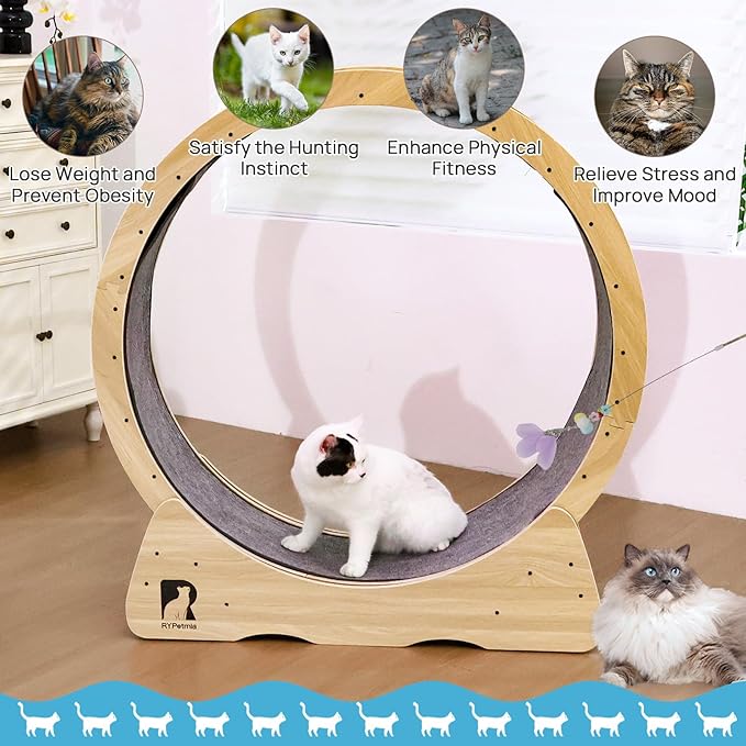 43 Inch Large Cat Exercise Wheel for Indoor Cats, Silent Treadmill, Non-Tip Design, Safe & Quiet Cat Running Wheel, Easy to Assemble, Supports Cats Up to 55 lbs (Natural Wood)