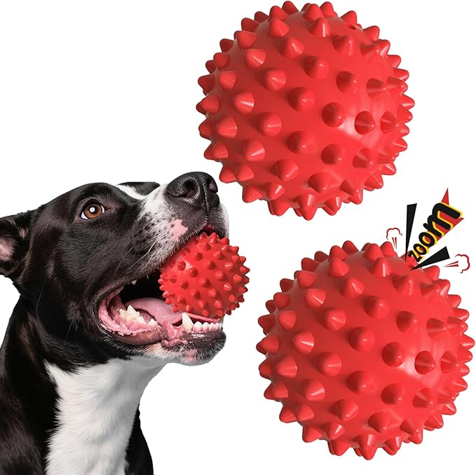 Apasiri Dog Balls Squeaky Dog Toys for Large Dogs, Dog Toys for Aggressive Chewers, Tough Spiky Dog Ball, Floatable Rubber Pet Toys for Medium Breed, Beef Flavor, Pack of 2