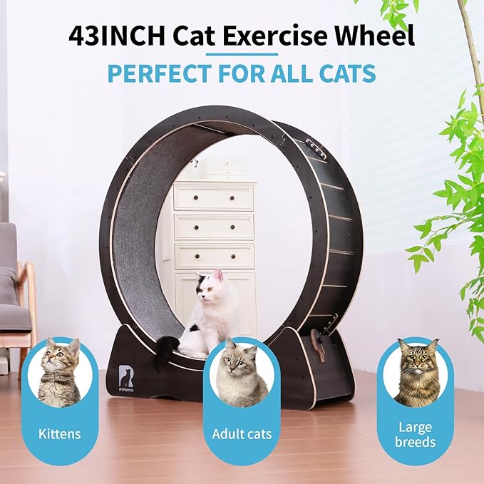 43 Inch Large Cat Exercise Wheel for Indoor Cats, Silent Treadmill, Non-Tip Design, Safe & Quiet Cat Running Wheel, Easy to Assemble, Supports Cats Up to 55 lbs (Black)