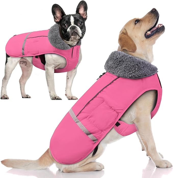 Doglay Dog Coat, Waterproof Dog Jacket Pet Winter Coat for Cold Weather with Thicken Furry Collar, Reflective Puppy Winter Jacket Warm Fleece Lining for Small Medium Large Pets