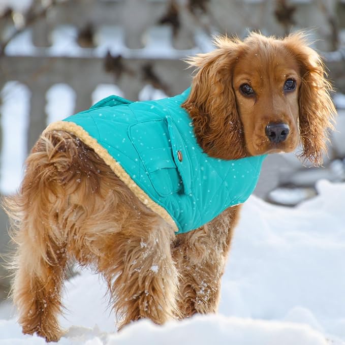 Queenmore Warm Dog Coat, Cold Weather Puffer Dog Coat Vest, Quilting Winter Pet Jacket Ultra Thick Plush Fleece Lining Pet Clothes for Dogs with Storage Pockets (Light Blue, Small)