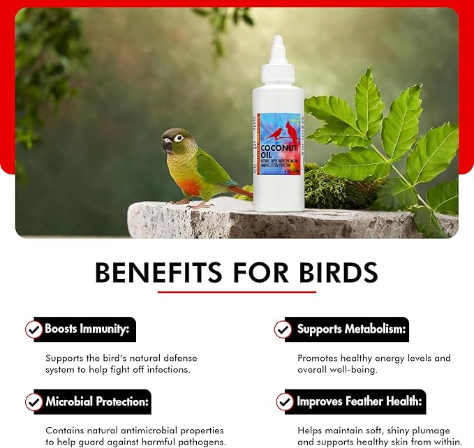 Morning Bird Coconut Oil for Birds 4 oz – Supports Immunity & Digestion – Boosts Energy & Feather Health – Easy to Mix with Food Pure Cold Pressed Formula – Safe for All Bird Life Stages