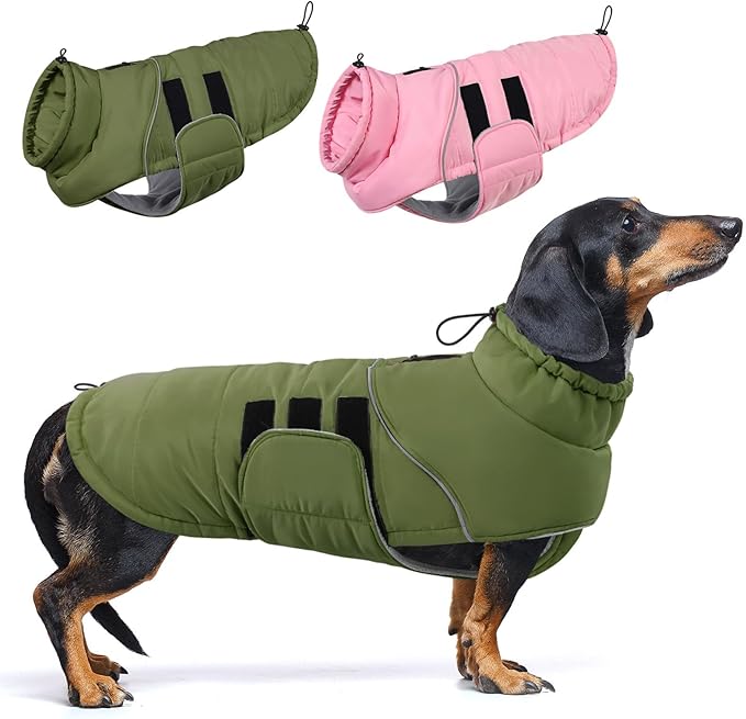 ASENKU Extra Warm Dog Coat - Winter Jacket with Fleece, Reflective Adjustable for Medium Dogs, Dachshund Clothes (Green, M)