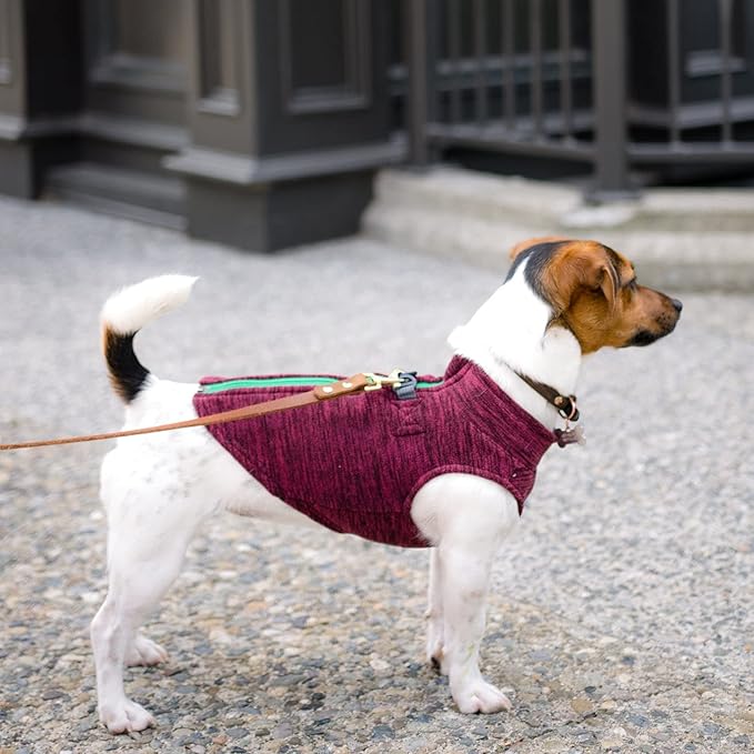 Gooby Zip Up Fleece Dog Sweater - Fuchsia Wash, Small - Warm Pullover Fleece Step-in Dog Jacket with Dual D Ring Leash for Small to Medium Dogs