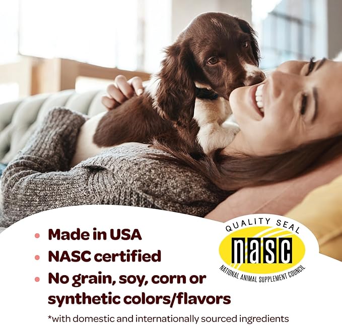 Hip and Joint Chews for Dogs | Dog Glucosamine Chews for Comfort & Mobility with Chondroitin MSM & Turmeric | Dog Joint Supplement for All Ages & Sizes | NASC Certified & Made in The USA | 60 Chews