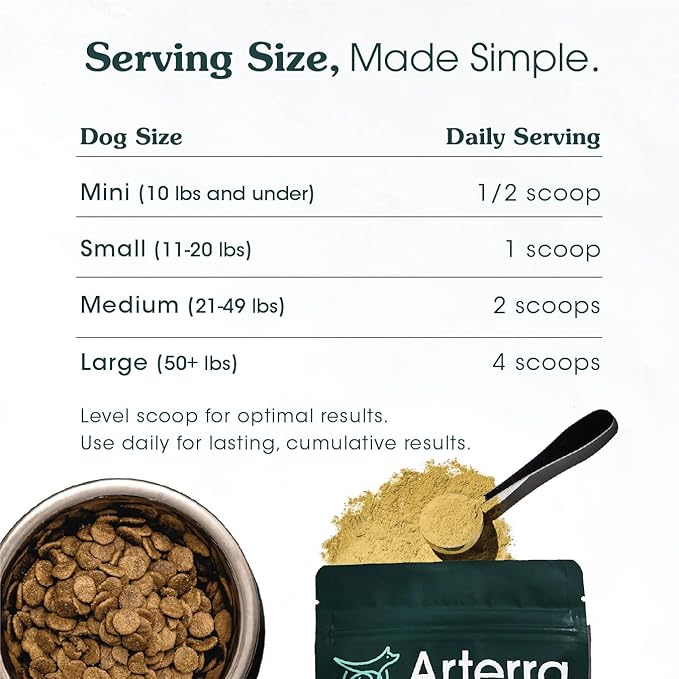 Adult Dog Powder Supplement & Food Topper – 46 Ingredients for Gut, Immune & Brain Health – Daily Longevity Multivitamin for Whole Body Wellness | 60 Scoops