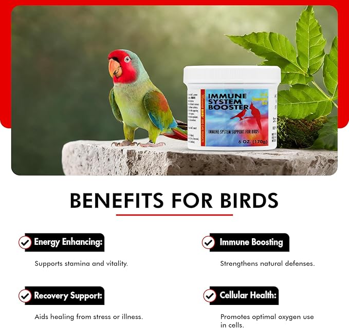 Morning Bird Immune System Booster 6 Oz - Energy Supplement for Birds – Natural Amino Acid Powder – Boosts Stamina, Cellular Health & Oxygen Use – Vitamin Powder for All Bird Species