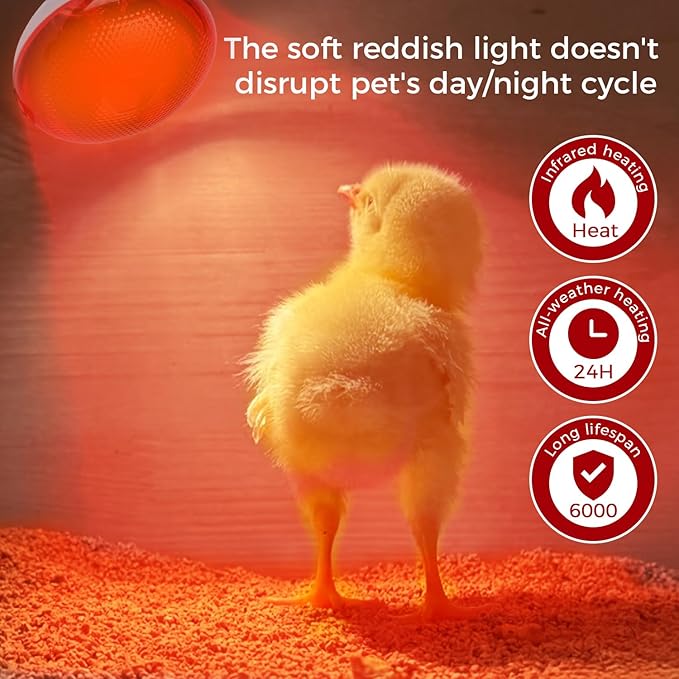Infrared Heat Lamp for Chickens, 150 Watts Red Heat Lamp Bulb, Heat Light Bulb for Brooder Coop, Food Service, Chicks, Pet, Reptile, 1 Pack