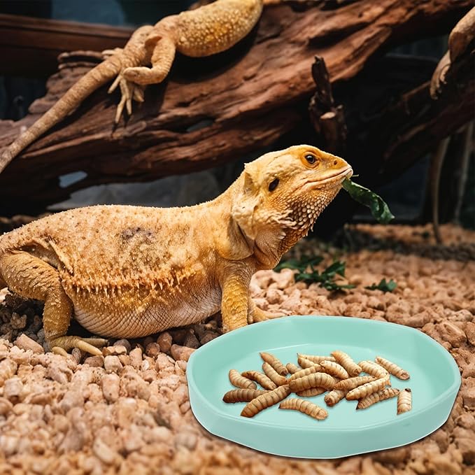 4 Pack Reptile Bowl, Round Plastic Reptile Dish,Food Dishes Lizard Tank,Lizard Water Bowl for Gecko, Bearded Dragon, Chameleon, 4.45" W x 4.45" D x 0.6" H, Muticolors