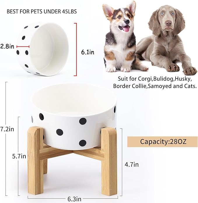 Petygooing Elevated/Raised 15°Slanted Ceramic Dog Bowl for Small and Medium Breeds, Tilted Anti Slip Pet Feeding Bowl,Food Water Dish with Stand for Cats and Dogs (28 OZ/3.6 Cups) Black Dot