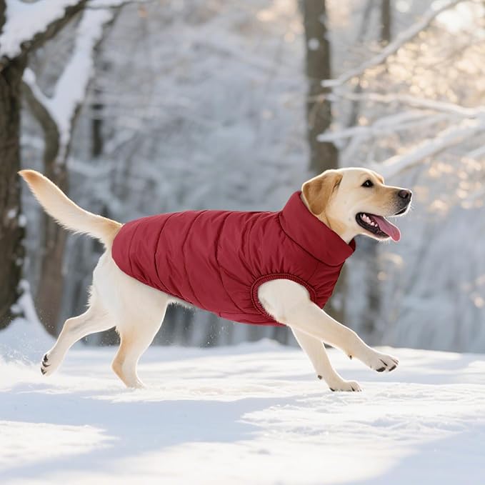 ASENKU Dog Winter Coat - Waterproof Windproof Dog Jacket, Warm Snowproof Doggie Puffer Vest for Cold Weather, Lightweight Snow Coats for Small Medium Large Dogs (2XL, Red)