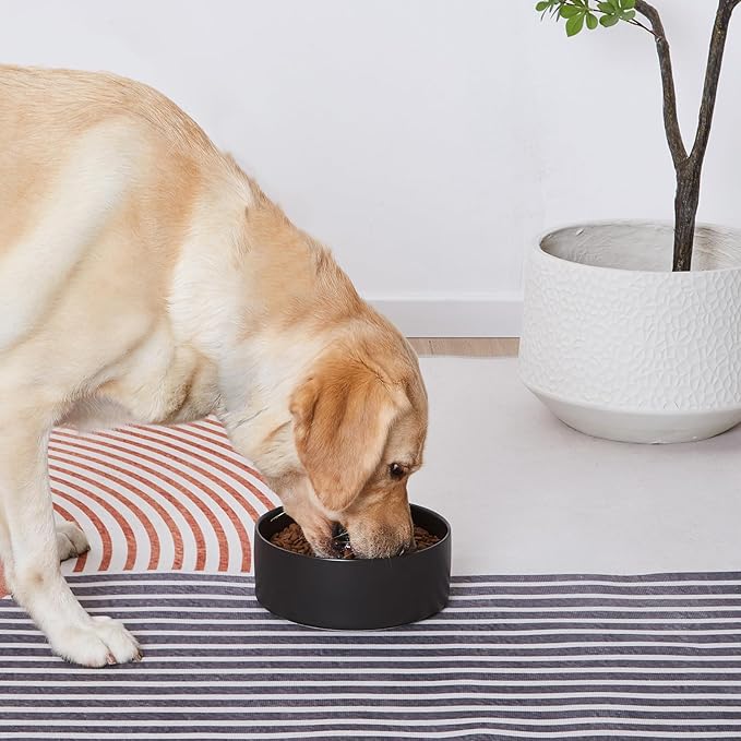 Ceramic Set of 2 Dog Bowls - Classic Dogs Food & Water Bowl for Small and Medium Breed, Heavy-Duty Non-Slip Dog Dishes, Food Grade Pet Bowl, Dishwasher & Microwave Safe (6'', 2*30OZ, Black)