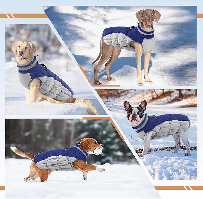 Dog Jackets for Medium Dogs,Medium Dog Coat,Warm Pet Winter Coat Zip Up Back,Waterproof Dogs Jacket with D-Ring,Pet Cold Weather Coats with Fleece Lined, Snowsuit Pug Boston Terrier,Blue,M