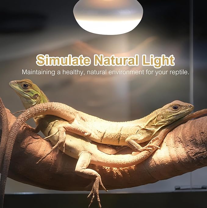 KINUR Reptile Heat Lamp Bulb-75W 2 Pack,UVA Basking Light Heat Lamp Bulbs,Natural Daylight Heating Light for Bearded Dragon,Turtle,Tortoise,Lizard,Snake,Gecko,Chicken with Digital Temperature Strips