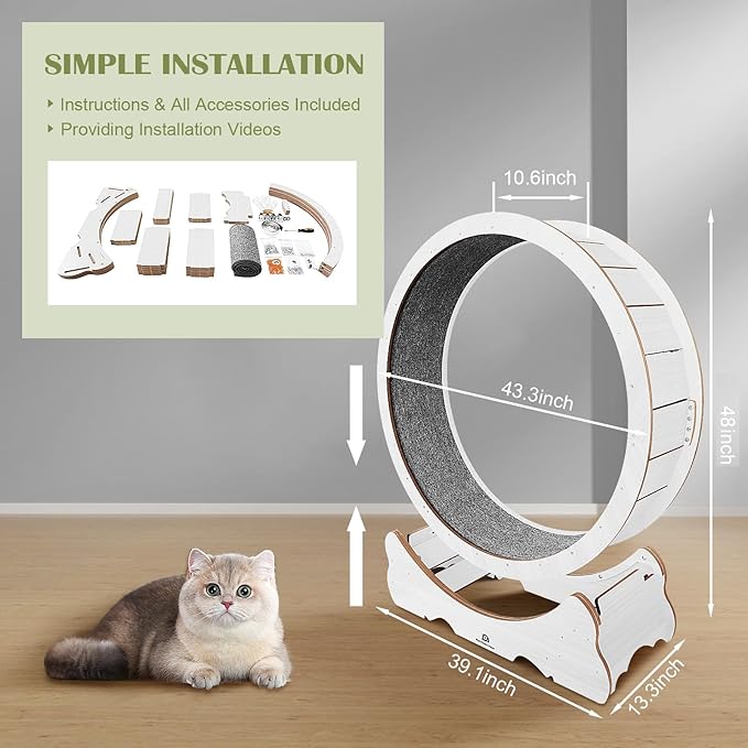 Cat Wheel, 48" XL Large Cats Exercise Running Wheel, Cat Treadmill for Indoor Cats