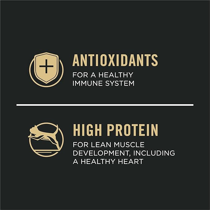 Purina Pro Plan Vital Systems Chicken and Egg Formula Kitten Dry Food 4-in-1 Immune, Muscles, Kidney and Brain and Vision - 3 lb. Bag