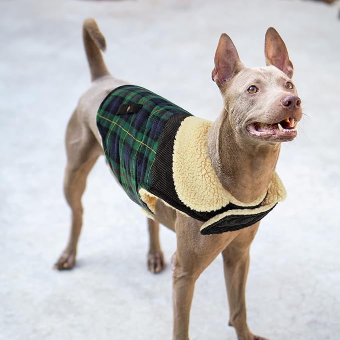 Winter Coat for Small and Medium Dogs, Puppy Plaid Jacket, Cotton Coat for Cold Weather, Windproof Warm Dog Garments, Pet Thickened Outfits Indoor Outdoor, Green S