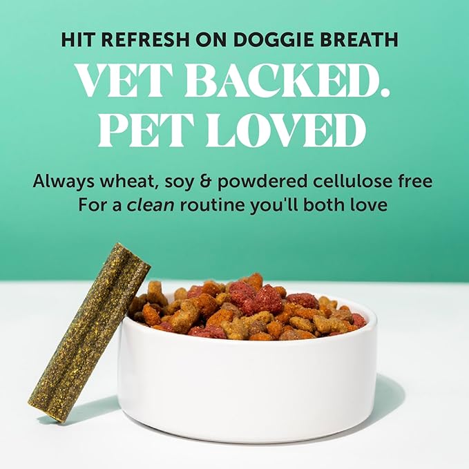 Dental Health Fresh Sticks - Oral Hygiene Dental Treat for Dogs - Dental Dog Chews - Freshen Dog Breath, Reduce Plaque + Tartar - 16 Sticks