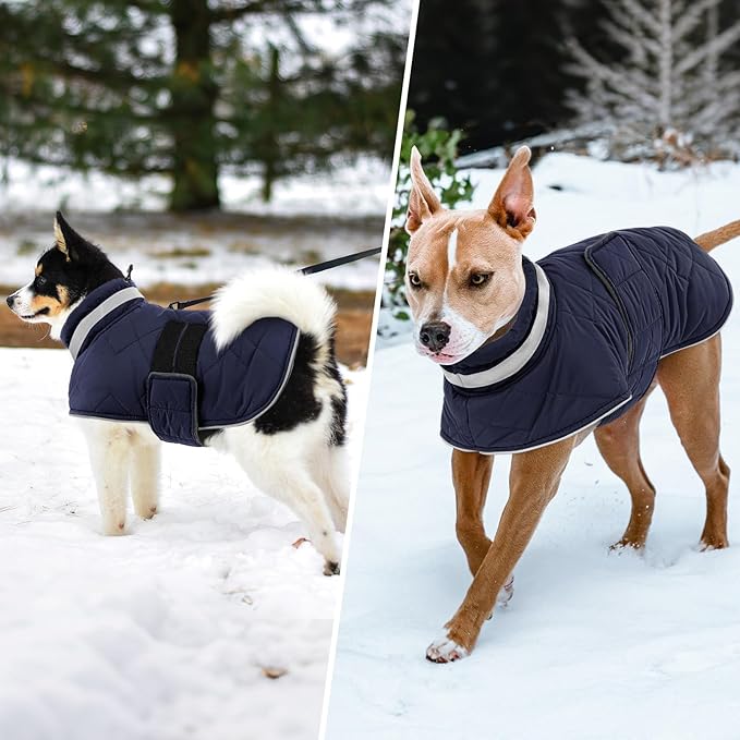 Dog Winter Coat Warm Padded Puppy Jacket Windproof Water Resistant Clothes for Small Medium Large Pets Christmas Sweater Outfit Vest(DarkBlue, L)
