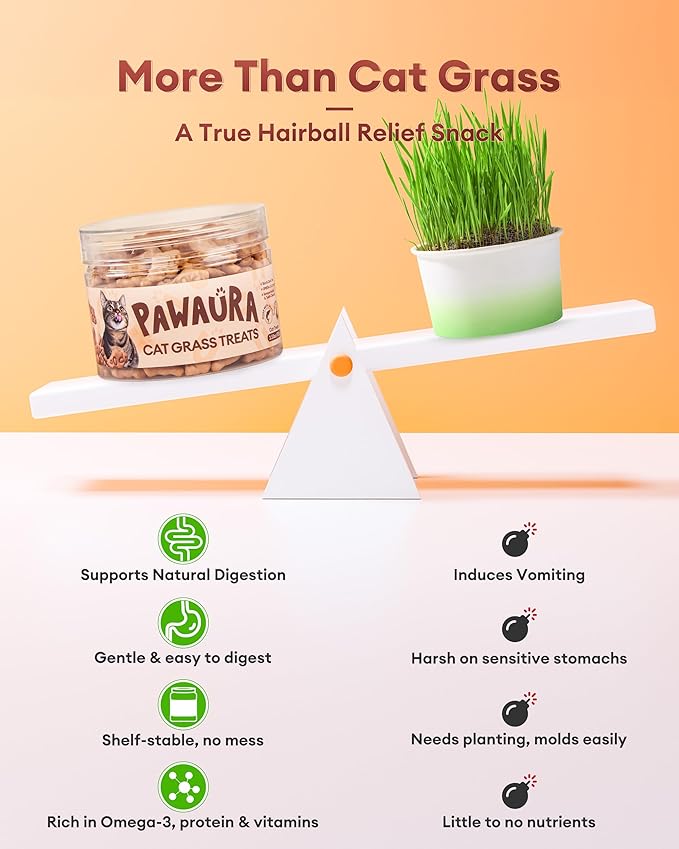3.53oz Crunchy Cat Grass Treats for Hairball Control – Natural Salmon & Cat Grass & Catnip Biscuits, Low-Calorie Healthy Snacks for Indoor Cats, Digestive & Dental Care