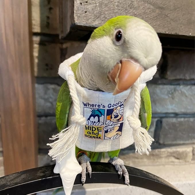 Bird Hoodie, Flight Suit for Parrots, Large, White with Hat, Polyester-Cotton, All Life Stages, Bird Apparel