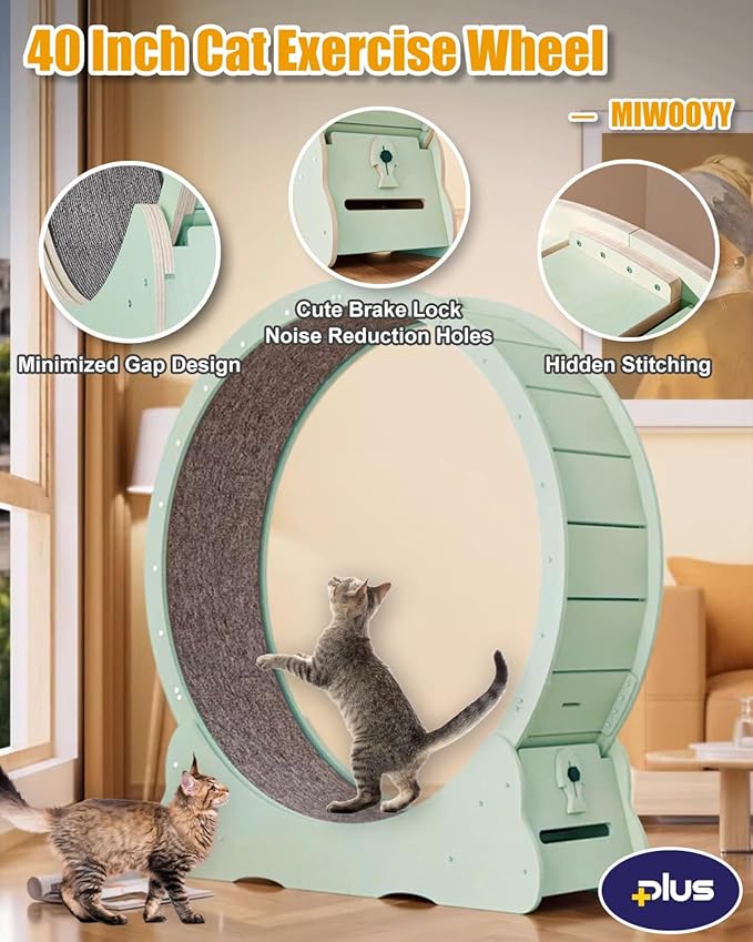 Large Cat Exercise Wheel 43 Inch - Mint Green Solid Wood Exerciser for Indoor Cats, Safety Treadmill with Lock & Minimized Gap Design