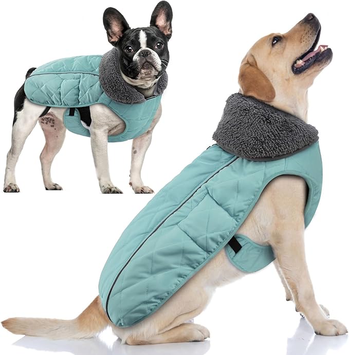 Doglay Dog Coat, Waterproof Dog Jacket Pet Winter Coat for Cold Weather with Thicken Furry Collar, Reflective Puppy Winter Jacket Warm Fleece Lining for Small Medium Large Pets
