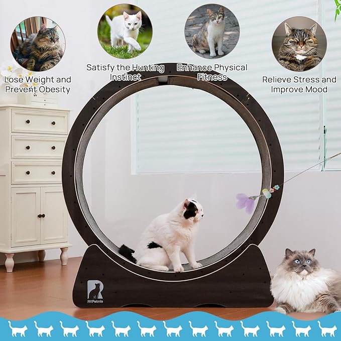 43 Inch Large Cat Exercise Wheel for Indoor Cats, Silent Treadmill, Non-Tip Design, Safe & Quiet Cat Running Wheel, Easy to Assemble, Supports Cats Up to 55 lbs (Black)