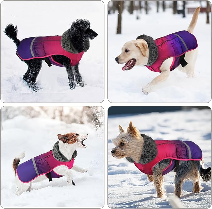 Doglay Dog Coat, Waterproof Dog Jacket Pet Winter Coat for Cold Weather with Thicken Furry Collar, Reflective Puppy Winter Jacket Warm Fleece Lining for Small Medium Large Pets