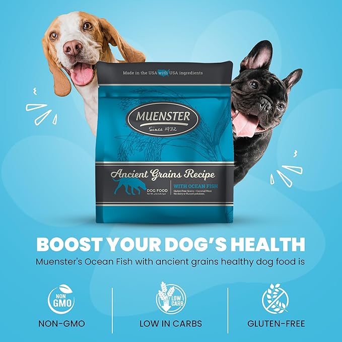 Muenster Ancient Grains Ocean Fish Dry Dog Food, 22lb - Gluten-Free, High Protein, Digestive Support