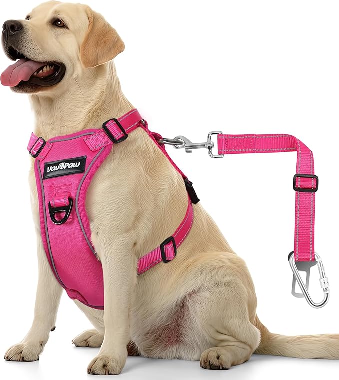 Dog Seat Belt Harness for Car, Dog Car Harness Adjustable Mesh Breathable & Dog Seatbelt Safety Tether with Elastic Bungee for Small Medium Large Pets(Rose, XL)