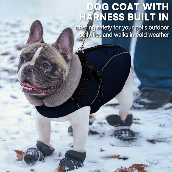 Queenmore Windproof Dog Coat for Medium Dogs,Dog Winter Jackets with Harness Built in,Waterproof Dogs Snowsuits with Zipper,Reflective Cold Weather Coats for Dachshund，Boston Terrier,Pug,Navy Blue,M