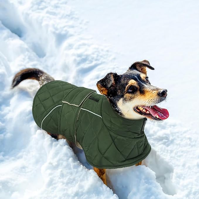 Kuoser Dog Coat, Extra Warm Dog Jacket Quilted Windproof Pet Cold Weather Coats for Small Dogs, Fleece Lining Turtleneck Puppy Snowsuit Reflective Adjustable Winter Clothes, Green S
