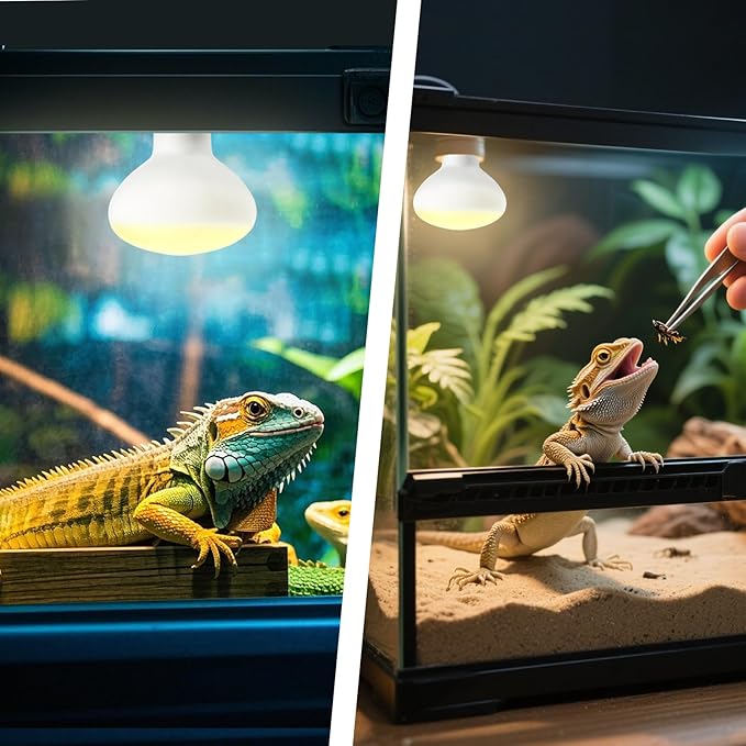 Reptile Heat Lamp Bulbs, 2-Packs 100W 3000H Heat Bulb with E26 Socket, UVA Basking Light for Bearded Dragons/Lizards/Turtles/Geckos/Snakes/Chameleons with Natural Sunlight Simulation