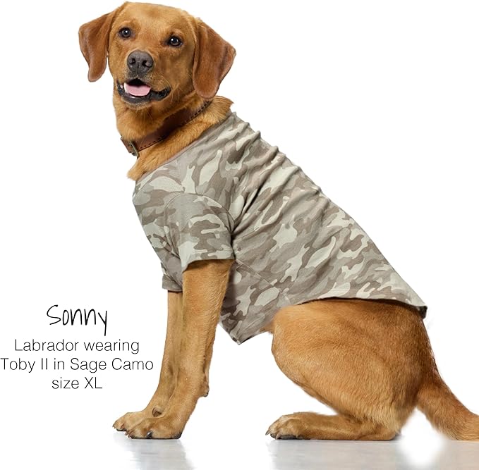 Toby II - The Perfect Tee, 3 Pack Short Sleeve Pet T-Shirt 100% Organic Cotton Tees Clothes for Small, Medium, Large Dogs, Sage Camo, X-Large